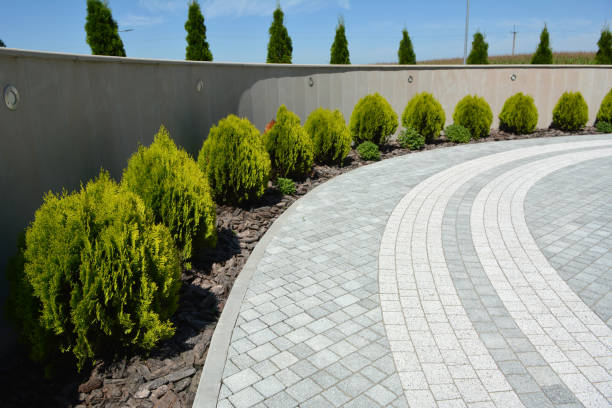 Professional Driveway Pavers in Robinwood, MD